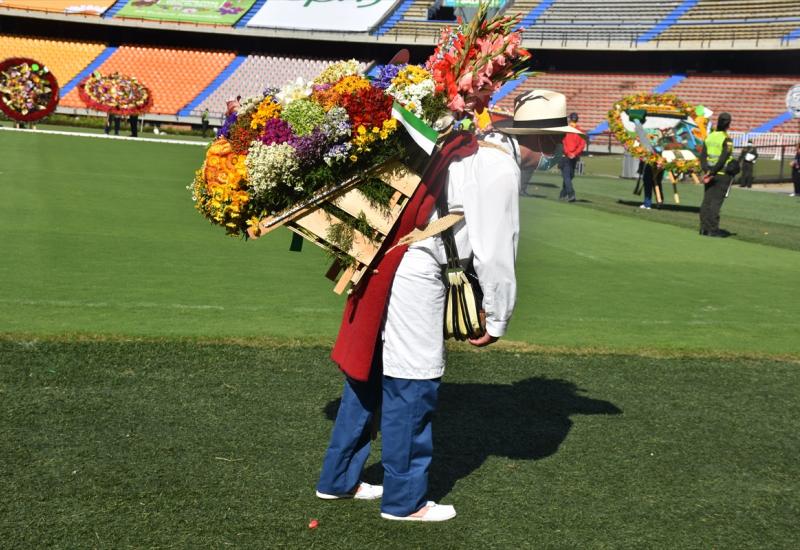 U Medellinu održan Festival cvijeća - Kolumbija: U Medellinu održan Festival cvijeća